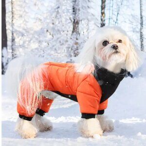 Waterproof Duomm Padded Dog Coat Orange, Warm All-Season Small & Medium Breed